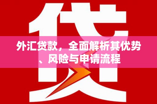 鄂城外汇贷款，全面解析其优势、风险与申请流程