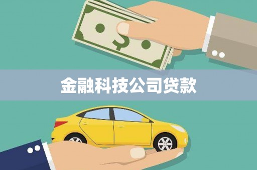 鄂城金融科技公司贷款
