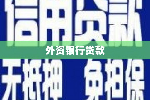 鄂城外资银行贷款