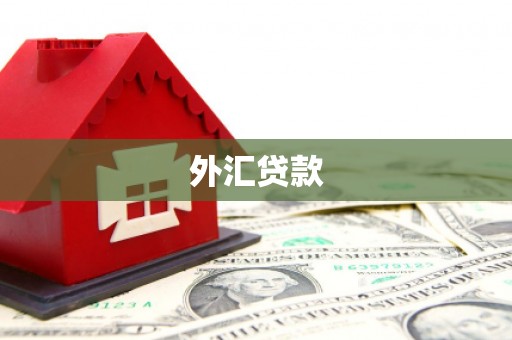 鄂城外汇贷款