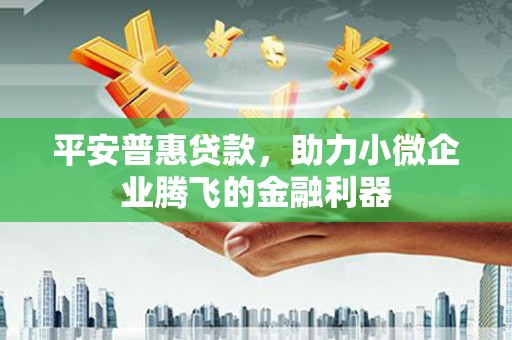 鄂城平安普惠贷款，助力小微企业腾飞的金融利器
