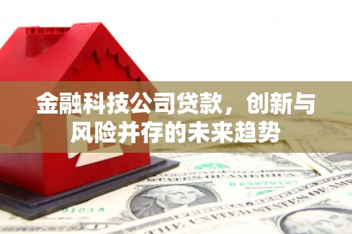 鄂城金融科技公司贷款，创新与风险并存的未来趋势