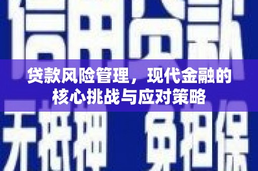 鄂城贷款风险管理，现代金融的核心挑战与应对策略