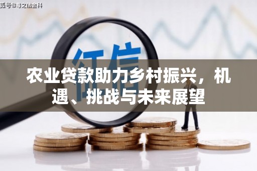 鄂城农业贷款助力乡村振兴，机遇、挑战与未来展望