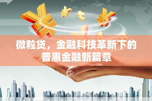 鄂城微粒贷，金融科技革新下的普惠金融新篇章