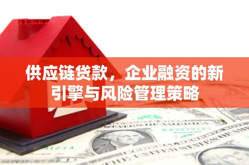 鄂城供应链贷款，企业融资的新引擎与风险管理策略