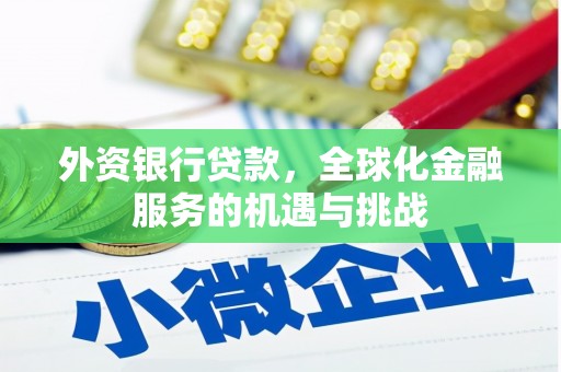鄂城外资银行贷款，全球化金融服务的机遇与挑战