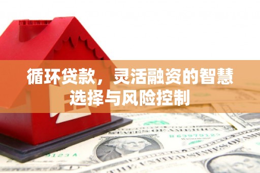 鄂城循环贷款，灵活融资的智慧选择与风险控制