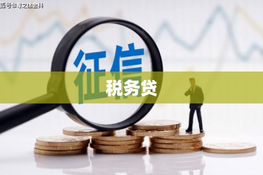鄂城税务贷
