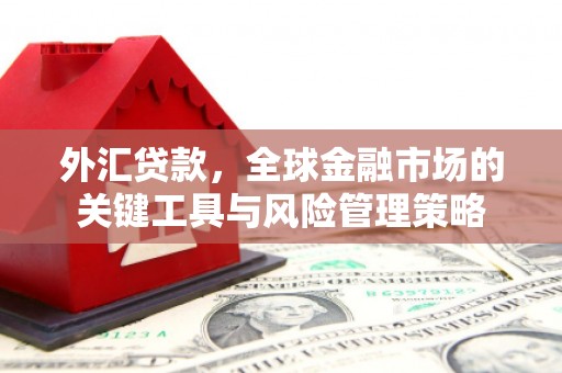 鄂城外汇贷款，全球金融市场的关键工具与风险管理策略