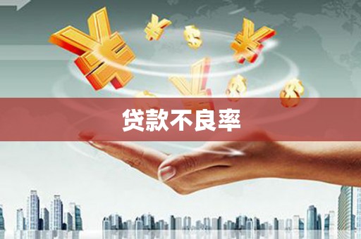 鄂城贷款不良率