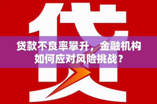鄂城贷款不良率攀升，金融机构如何应对风险挑战？