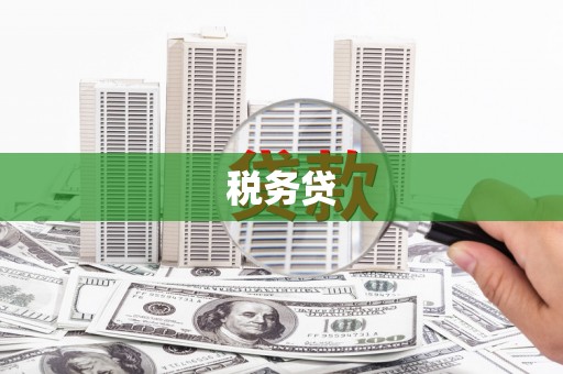 鄂城税务贷