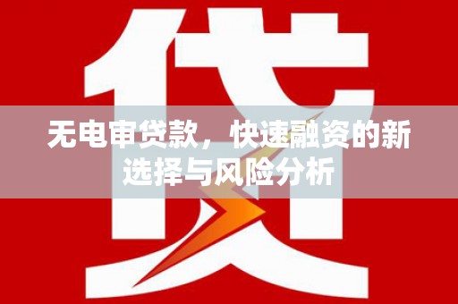 鄂城无电审贷款，快速融资的新选择与风险分析