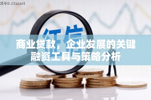 鄂城商业贷款，企业发展的关键融资工具与策略分析