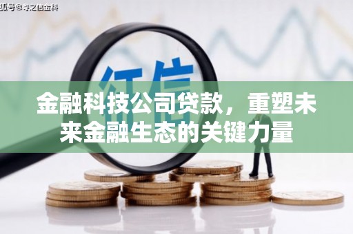 鄂城金融科技公司贷款，重塑未来金融生态的关键力量