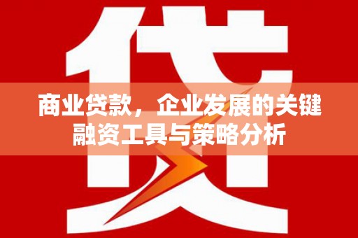 鄂城商业贷款，企业发展的关键融资工具与策略分析