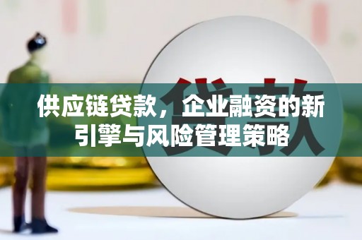 鄂城供应链贷款，企业融资的新引擎与风险管理策略