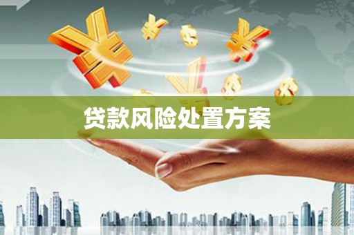 鄂城贷款风险处置方案
