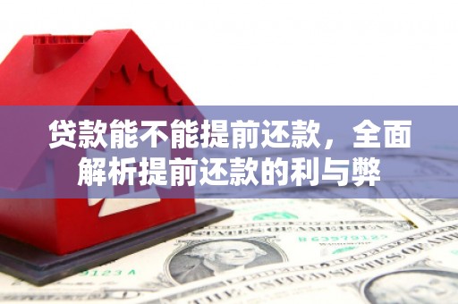 鄂城贷款能不能提前还款，全面解析提前还款的利与弊