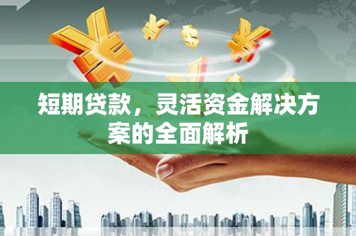 鄂城短期贷款，灵活资金解决方案的全面解析