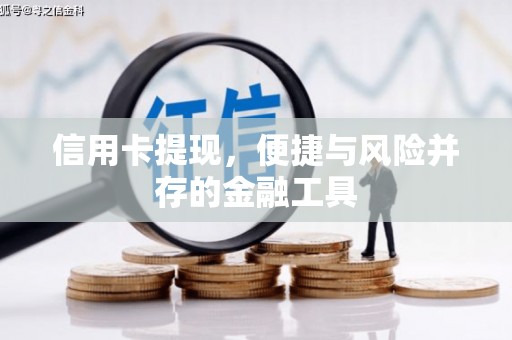鄂城信用卡提现，便捷与风险并存的金融工具