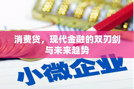 鄂城消费贷，现代金融的双刃剑与未来趋势