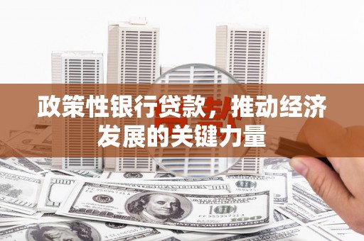 鄂城政策性银行贷款，推动经济发展的关键力量
