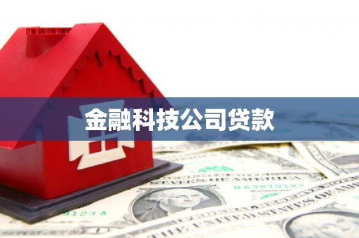 鄂城金融科技公司贷款
