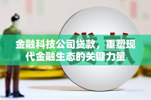 鄂城金融科技公司贷款，重塑现代金融生态的关键力量