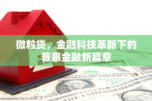 鄂城微粒贷，金融科技革新下的普惠金融新篇章