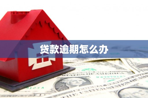 鄂城贷款逾期怎么办