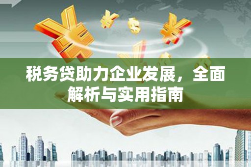 鄂城税务贷助力企业发展，全面解析与实用指南
