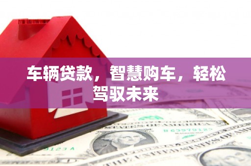 鄂城车辆贷款，智慧购车，轻松驾驭未来