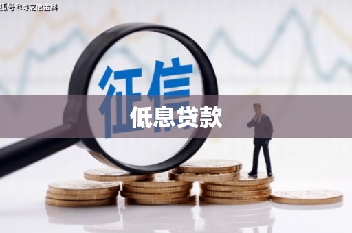 鄂城低息贷款