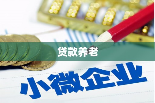 鄂城贷款养老