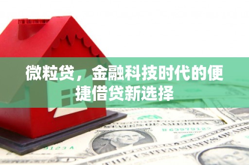 鄂城微粒贷，金融科技时代的便捷借贷新选择