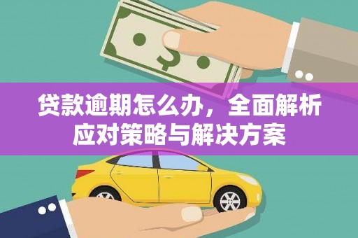鄂城贷款逾期怎么办，全面解析应对策略与解决方案